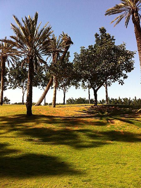 File:2011-02-23-Golf-Soleil-15.JPG