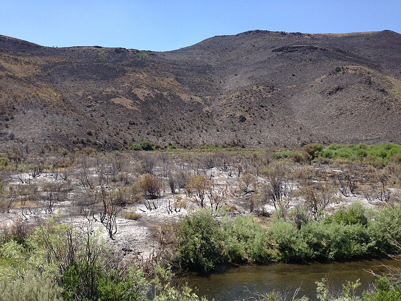 File:2013-07-21 13 24 14 Cattle Guard Fire burn scar along the Owyhee River near Owyhee.jpg