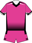 2013 Women in League Jersey 2013 Pink Penrith Panthers Jersey.svg