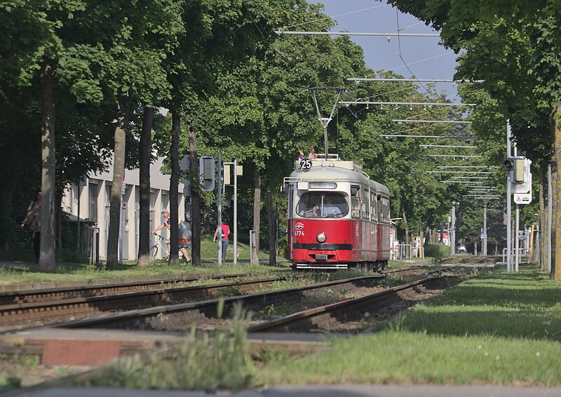 File:2017-05-22 AT Wien 22 Donaustadt, Langobardenstraße @ Oskar-Sima-Gasse, E1 4774+c4 Linie 25 (50933628192).jpg