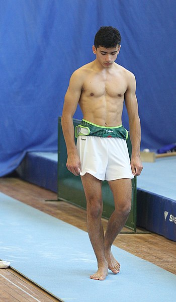 File:2019-05-26 Budapest Cup age group II apparatus finals warm-up vault (Martin Rulsch) 1.jpg