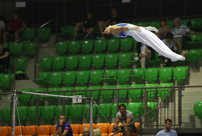 File:2019-06-27 1st FIG Artistic Gymnastics JWCH Men's All-around competition Subdivision 3 Horizontal bar (Martin Rulsch) 164.jpg