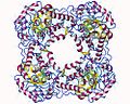 Vignette pour Glycolate oxydase