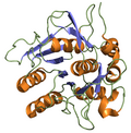 Hình thu nhỏ cho Nattokinase