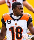 Thumbnail for A. J. Green