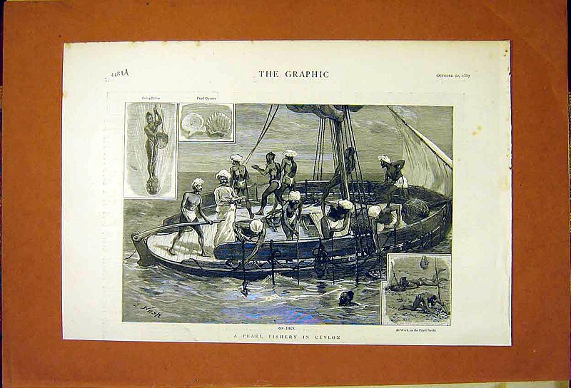 File:A Pearl Fishery in Ceylon - The Graphic 1887.jpg