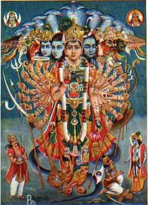 Who all had seen the Vishvaroopa of Shri Krishna