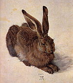 Hare