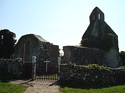 Abbeyshrule Abbey ruins