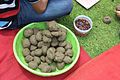 Activities for making Mud Seed ball in Bhopal (7).jpg