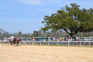 <span class="mw-page-title-main">Aiken Training Track</span> Historic horse-racing track in South Carolina, United States