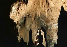 Fuller's hypothetical case involves a group of cave explorers who are trapped following a cave-in and face the risk of dying from starvation. The case examines how the rescued survivors, who kill and eat one person in order to survive, should be treated by the law. Akiyoshicave.jpg