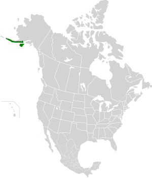 Alaska-Halbinsel Montane Taiga map.svg