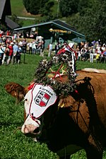 Thumbnail for File:Almabtrieb nach Bad Kleinkirchheim (4856554767).jpg