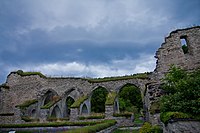 Miniatyrbild för Alvastra kloster