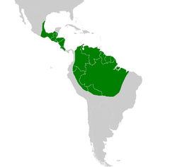Distribuição geográfica de A. macao