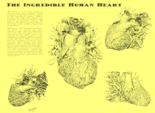 Animated Heart - Old Textbook style