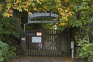 <span class="mw-page-title-main">Forstbotanischer Garten Tharandt</span> Botanical garden specialized on forests