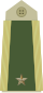 Ejército-NOR-DE-03.svg