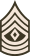 Army-USA-OR-08a (Army greens).svg