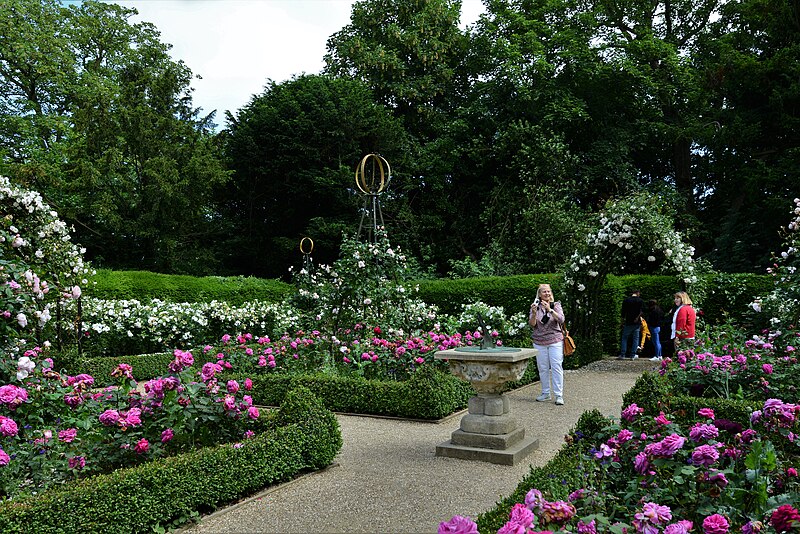 File:Arundel Castle, The Rose Garden - geograph.org.uk - 5815576.jpg