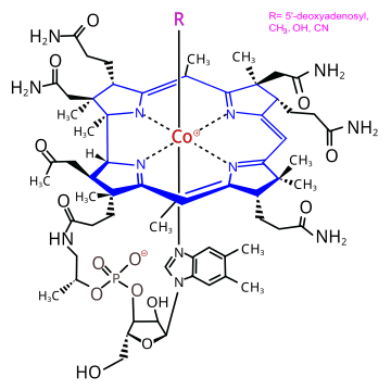 Vitamin-B12-Mangel