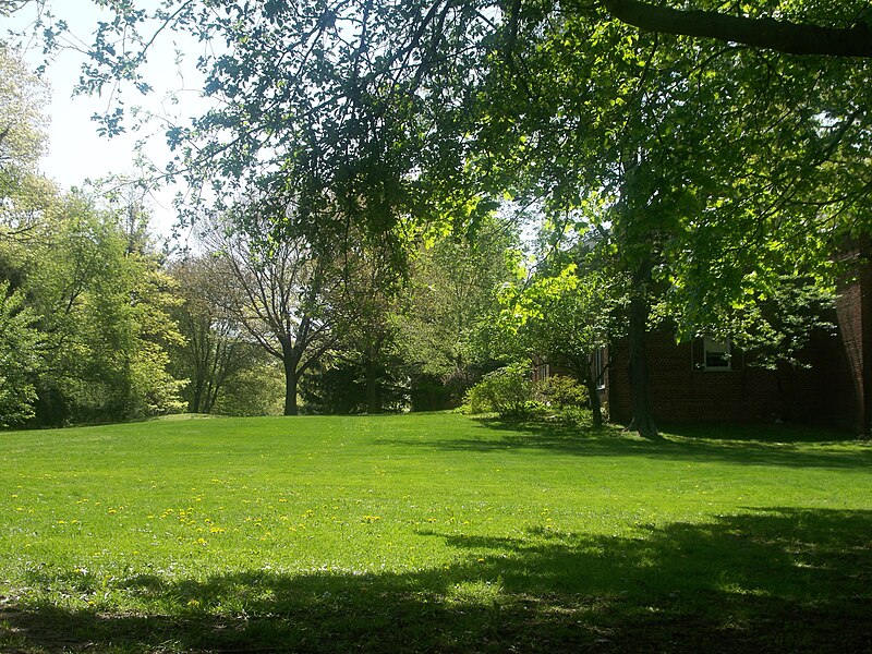 File:Backyard Trees Lawn Hancock Village Brookline Town Massachusetts New England.jpg