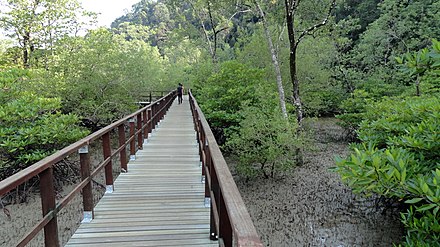 Boardwalks have been built over muddy sections of trail