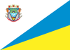 Flag of Balneário Arroio do Silva