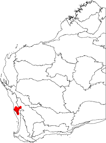 File:Banksia grossa map.png