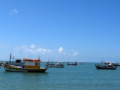 Como chegar até Mata De São João com o transporte público - Sobre o local