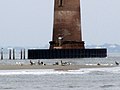 Base of Morris Island Lighthouse (4006009421).jpg