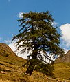 Bergtocht van Gimillan (1805m.) naar Colle Tsa Sètse in Cogne Valley (Italië).