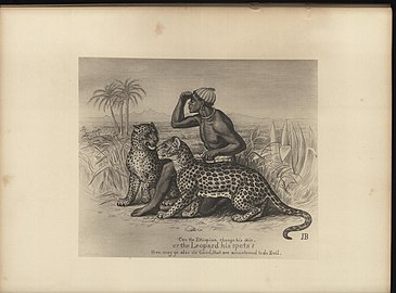 « Un Éthiopien peut-il changer sa peau, et un léopard ses taches? », Jérémie, 13.23