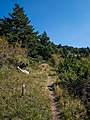 * Nomination GR19.1 hiking trail at the Barranco de Montillo gorge. Bielsa, Sobrarbe, Huesca, Aragon, Spain --Basotxerri 07:25, 12 November 2017 (UTC) * Promotion  Support Good quality.--Agnes Monkelbaan 07:38, 12 November 2017 (UTC)