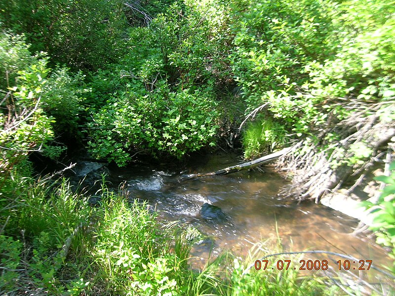 File:Big Lake Creek.JPG