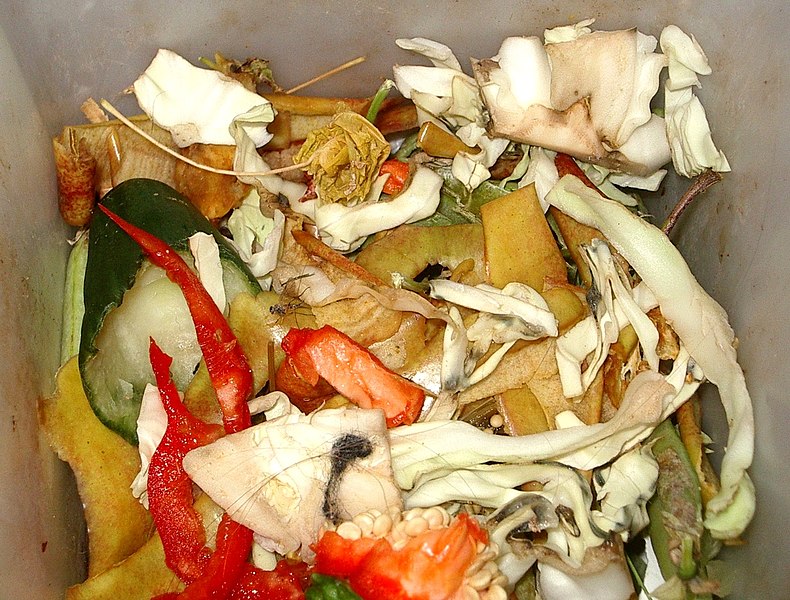 File:Biodegradable waste.jpg