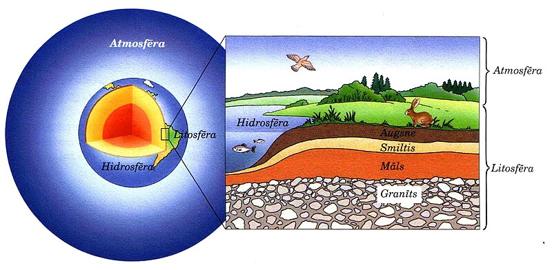 File:Biosferas uzbuve.jpg