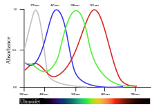 Normalized absorption spectra (0-100%). The four pigments in estrildid finches' cones extend the range of colour vision into the ultraviolet. BirdVisualPigmentAbsorbance.svg