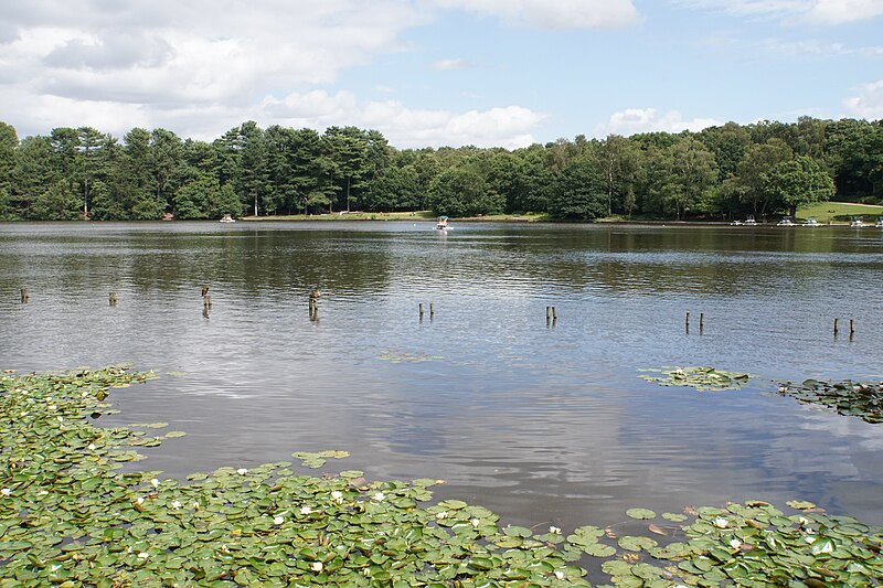 File:Blackroot Pool - geograph.org.uk - 6242353.jpg