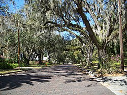 Brooksville Tarix Dist Street02.jpg