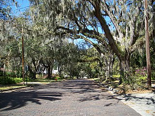 <span class="mw-page-title-main">South Brooksville Avenue Historic District</span> Historic district in Florida, United States