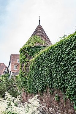 Buchen (Odenwald), Stadtmauer Am Haag 20170622 003