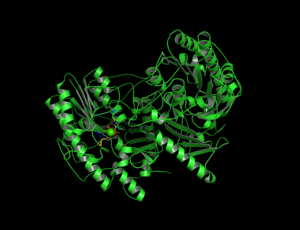 C183-4MHX Enzyme.png