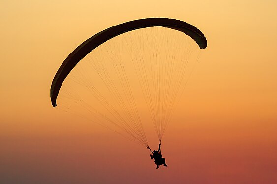 Paraglider