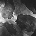 Casement Stream, outwash delta, August 22, 1979 (GLACIERS 5299).jpg