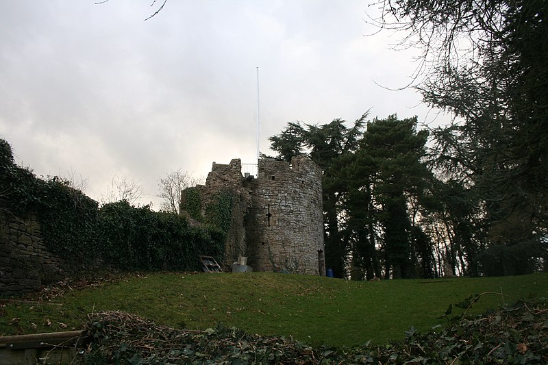 File:Castle Ruins - geograph.org.uk - 2354805.jpg