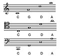 Celloopenstrings.JPG