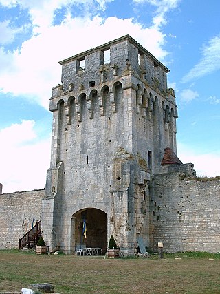 <span class="mw-page-title-main">Château de Druyes</span>