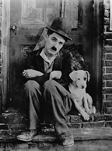 Chaplin A Dogs Life.jpg